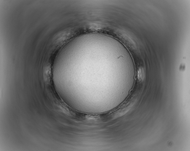 X0000102021299200808011414