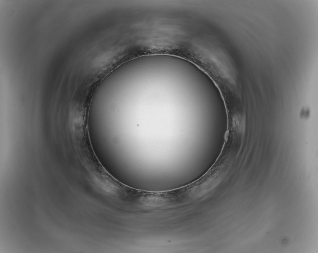 X0000102021300200808011414