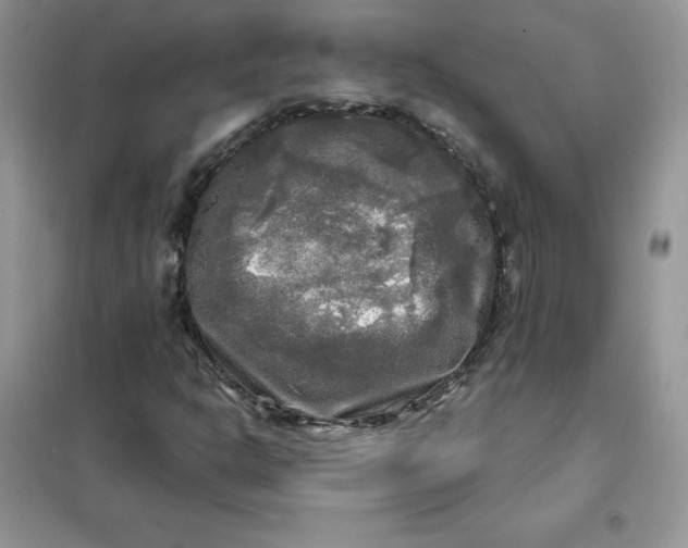 X0000102021302200808011414