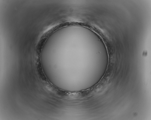 X0000102021303200808011414
