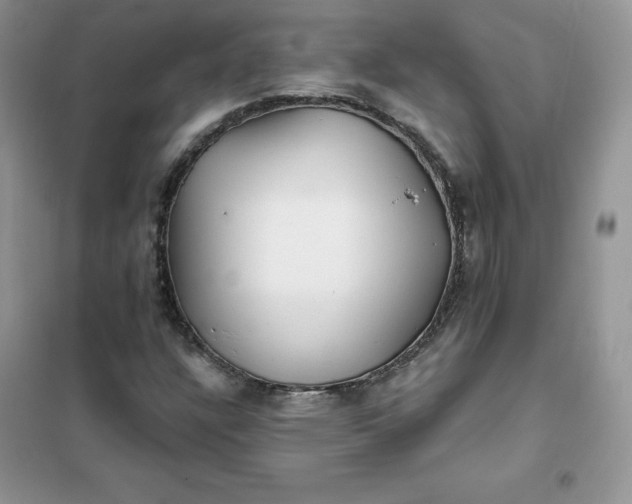 X0000102021304200808011414