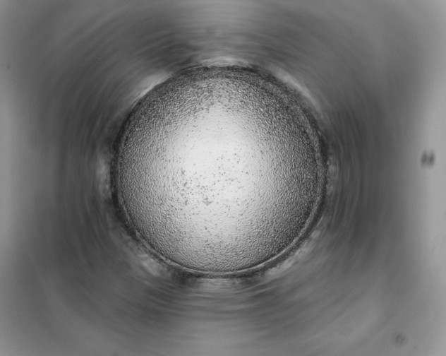 X0000102021305200808011414