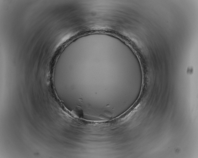 X0000102021306200808011414
