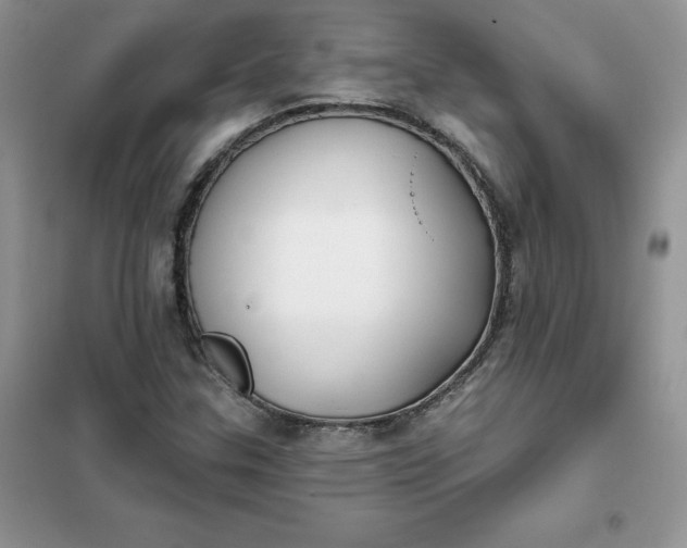 X0000102021307200808011414
