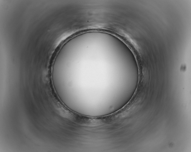 X0000102021308200808011414