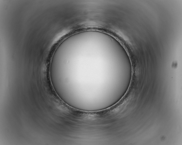 X0000102021309200808011414