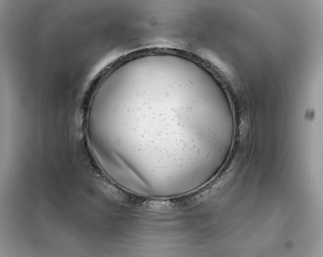 X0000102021310200808011414