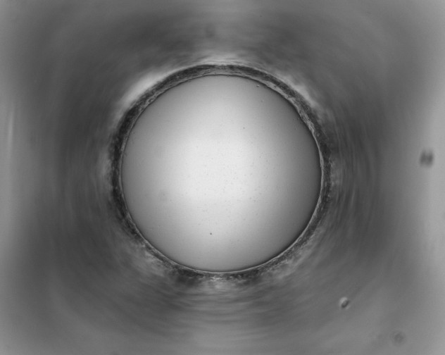X0000102021311200808011414
