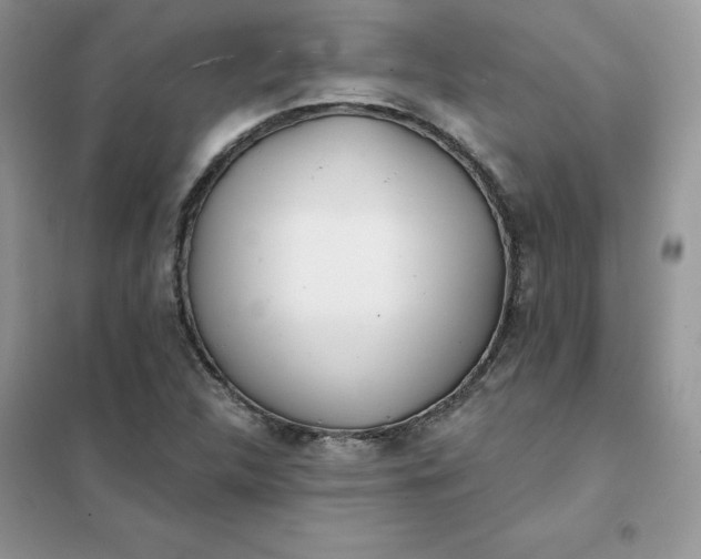 X0000102021312200808011414