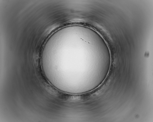 X0000102021313200808011414