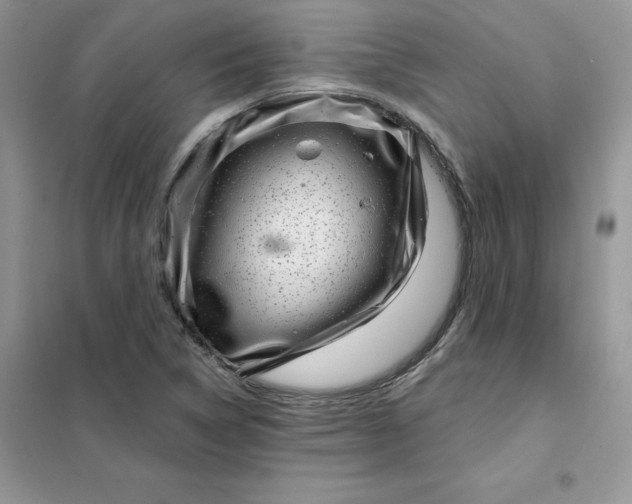 X0000102021314200808011414