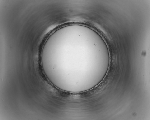 X0000102021315200808011414