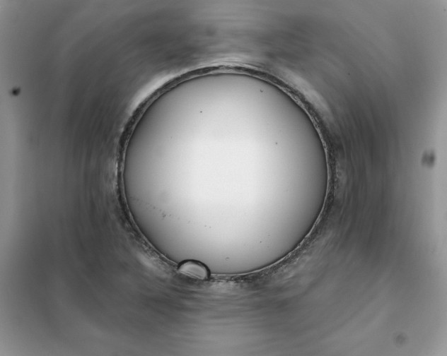 X0000102021316200808011414
