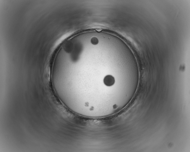 X0000102021317200808011414