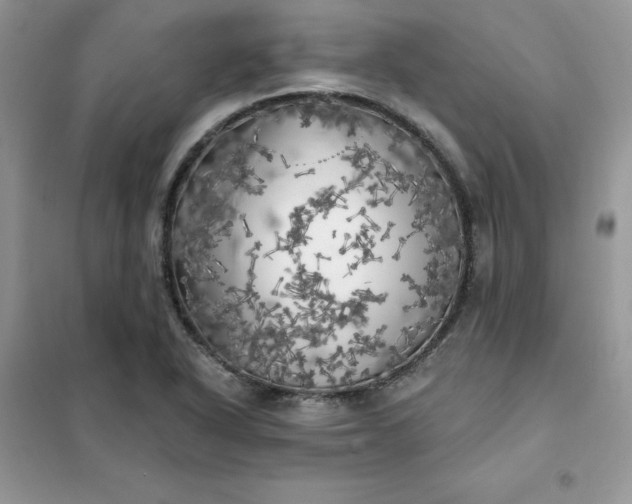X0000102021318200808011414