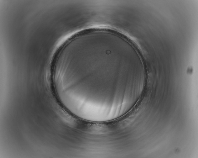 X0000102021319200808011414