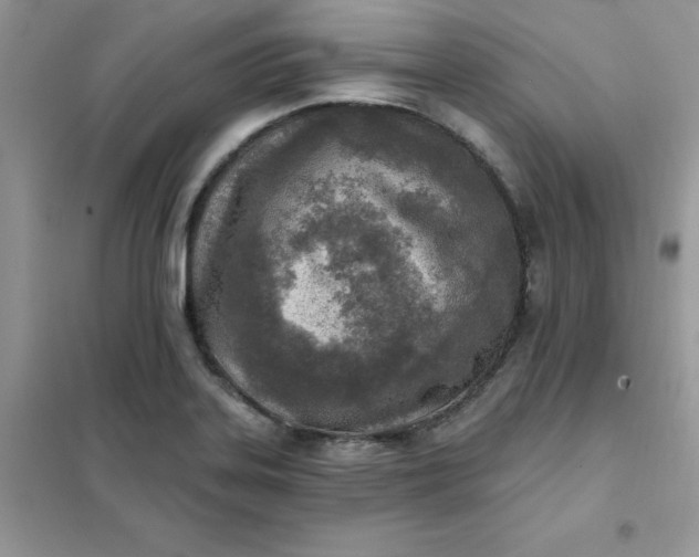 X0000102021323200808011414