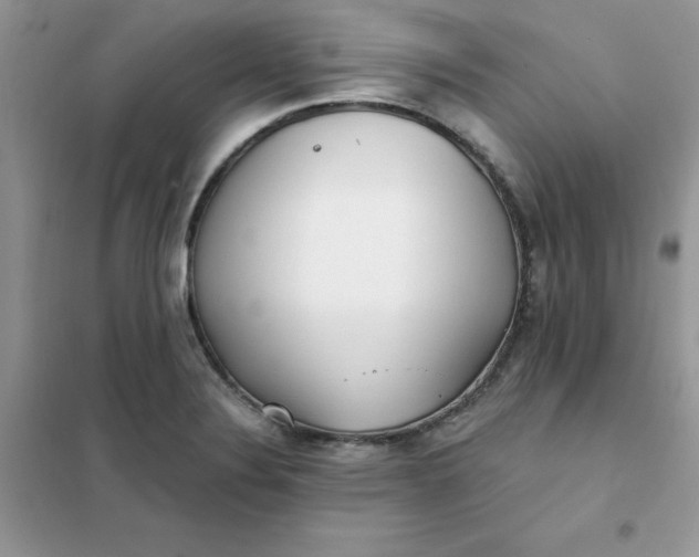X0000102021324200808011414