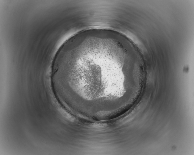 X0000102021325200808011414