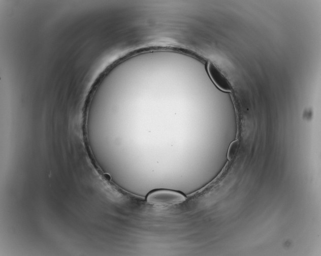 X0000102021326200808011414