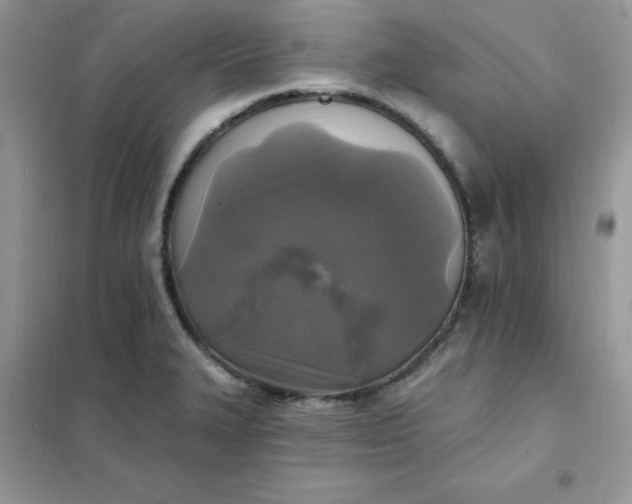 X0000102021327200808011414