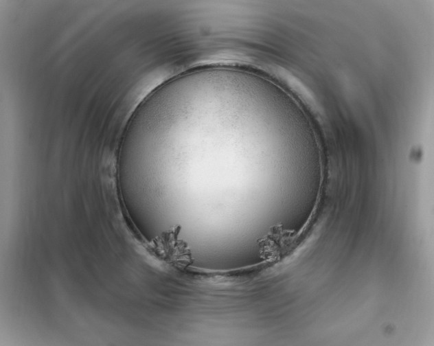 X0000102021329200808011414