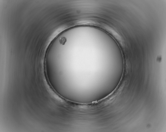 X0000102021330200808011414