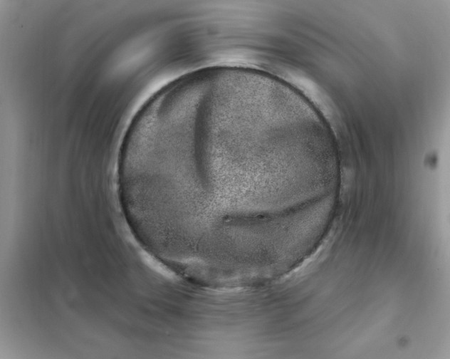 X0000102021331200808011415