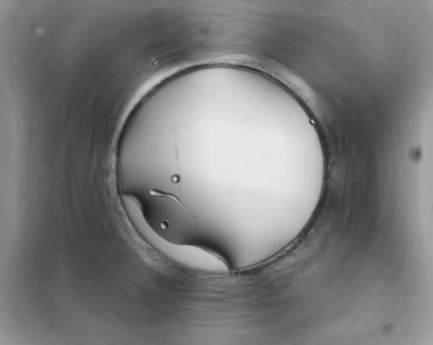X0000102021332200808011415
