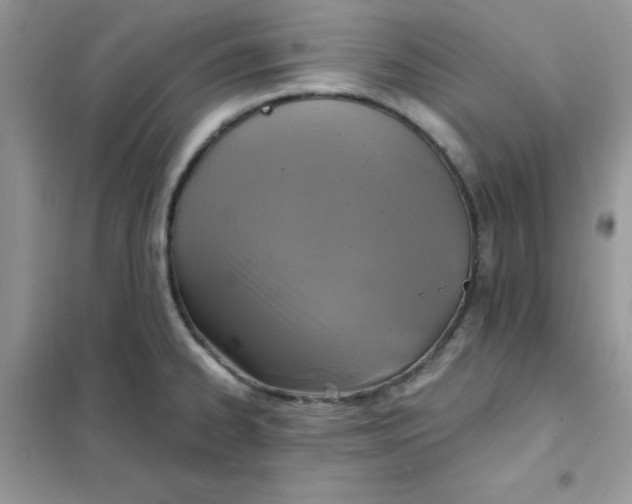 X0000102021334200808011415