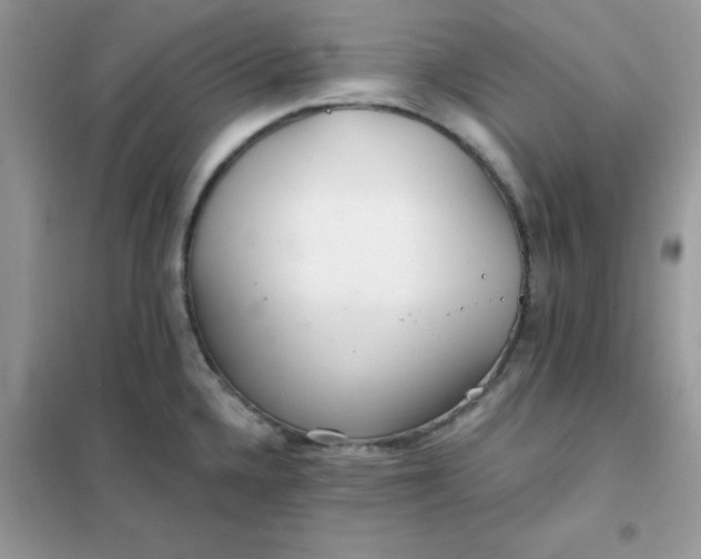 X0000102021336200808011415