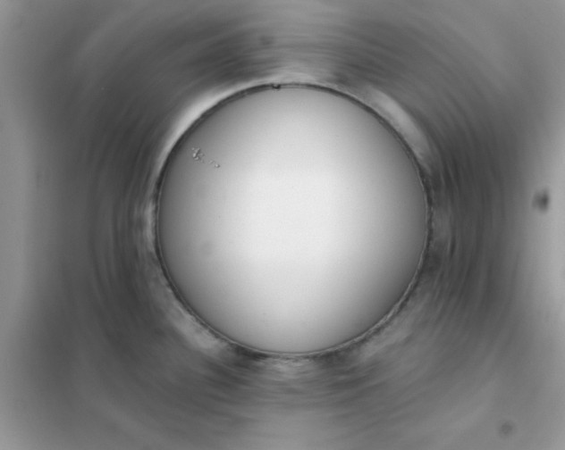 X0000102021340200808011415