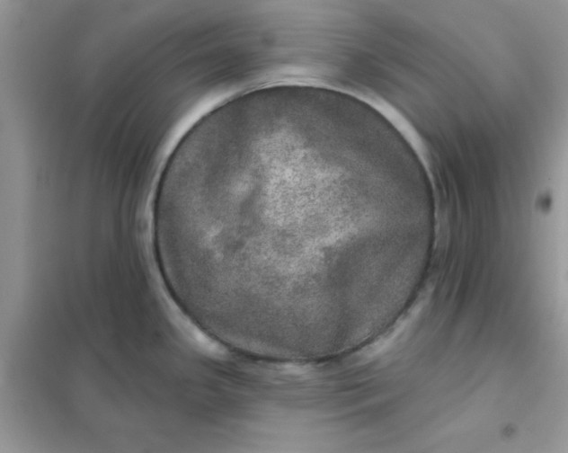 X0000102021341200808011415