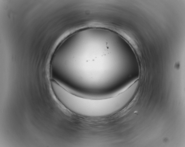 X0000102021342200808011415