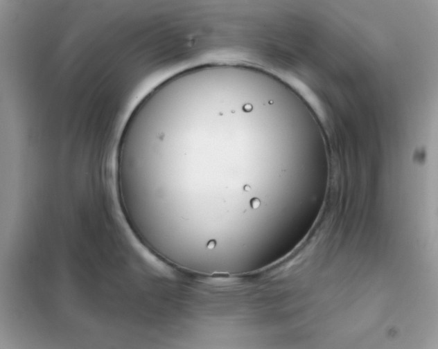 X0000102021343200808011415