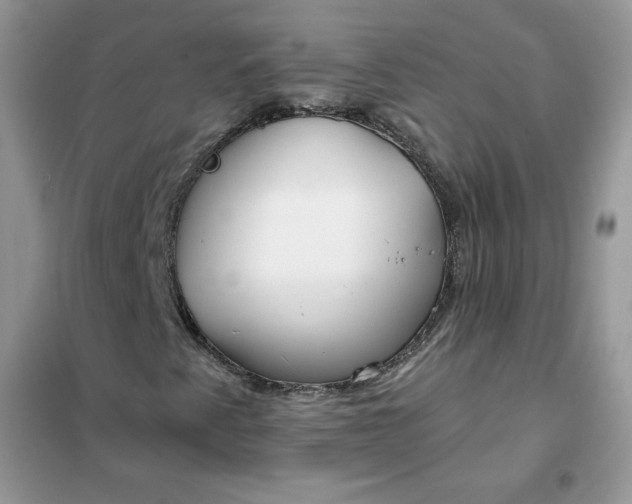X0000102021345200808011414