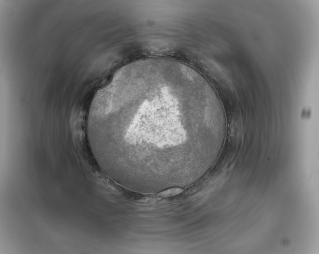 X0000102021346200808011414