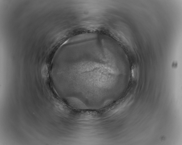 X0000102021347200808011414