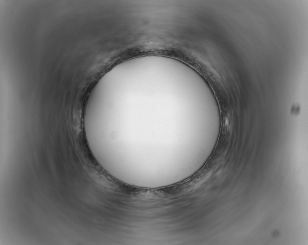 X0000102021348200808011414