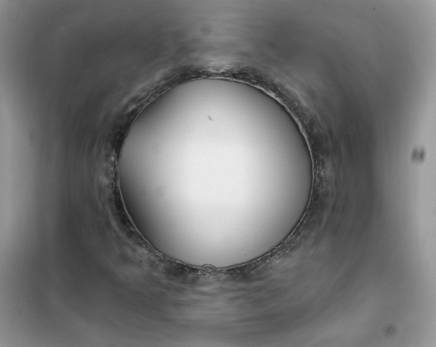 X0000102021349200808011414