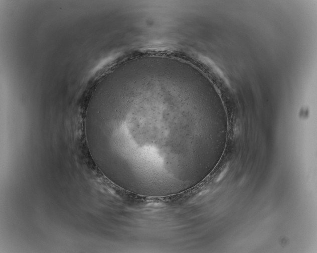 X0000102021350200808011414