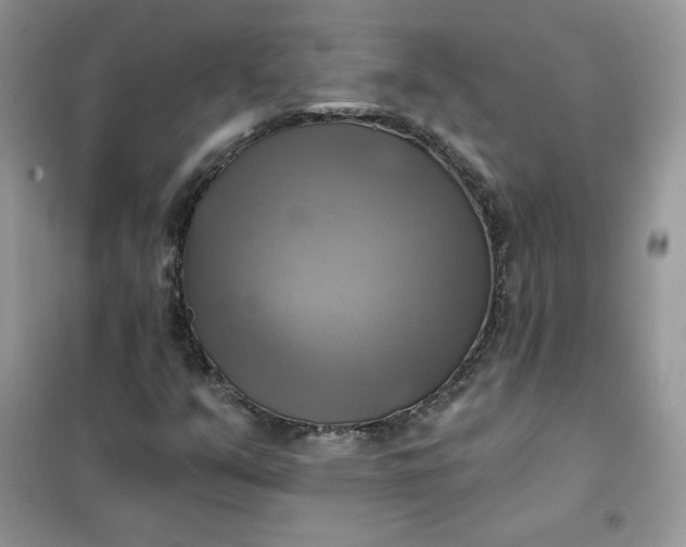 X0000102021351200808011414
