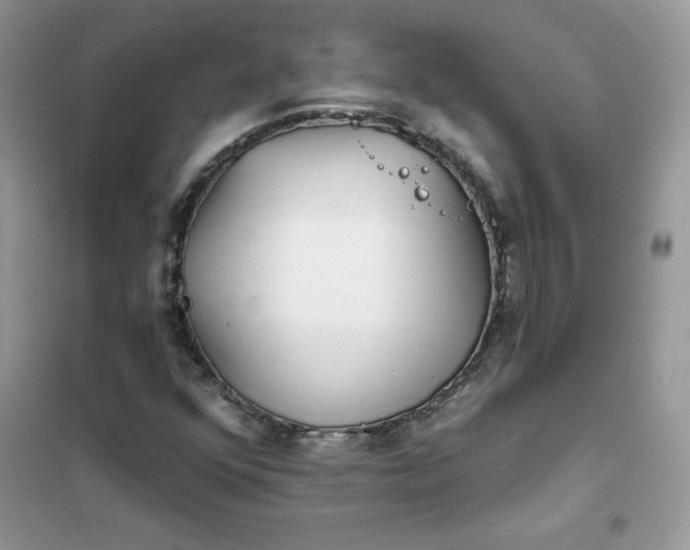 X0000102021352200808011414