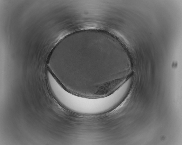 X0000102021353200808011414