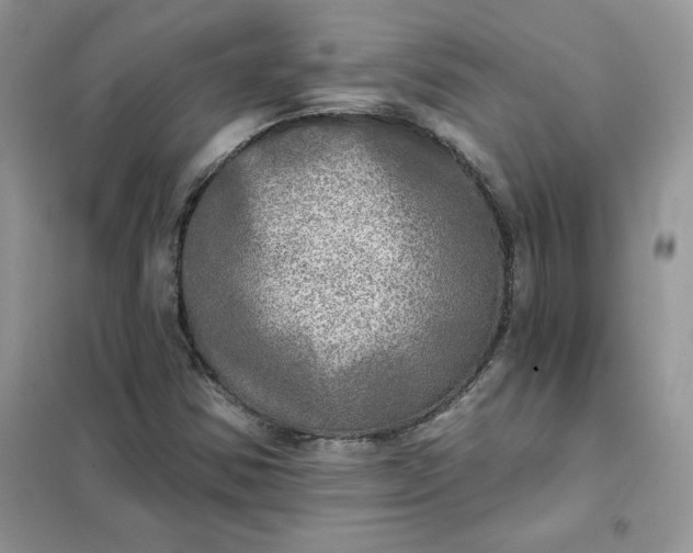 X0000102021354200808011414
