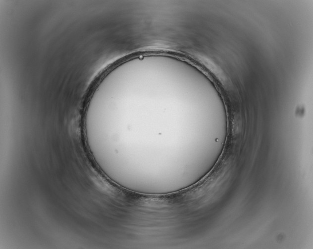 X0000102021356200808011414