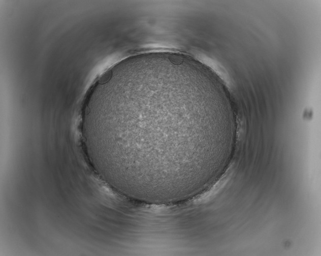 X0000102021357200808011414