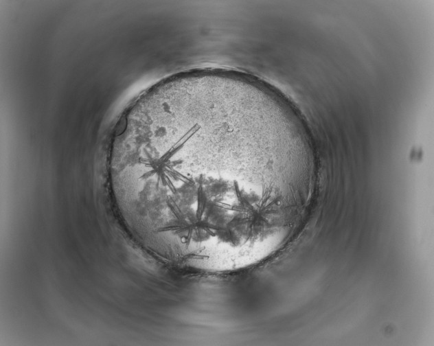 X0000102021359200808011414