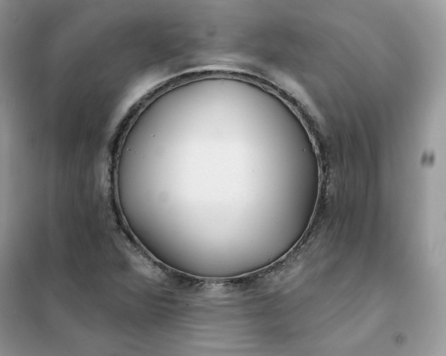 X0000102021360200808011414