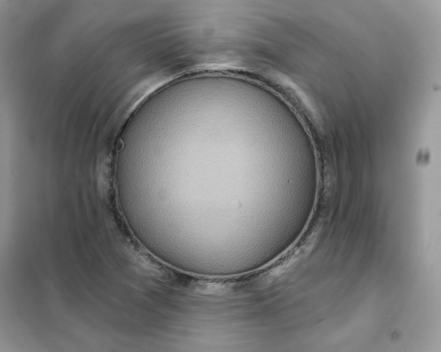 X0000102021361200808011414
